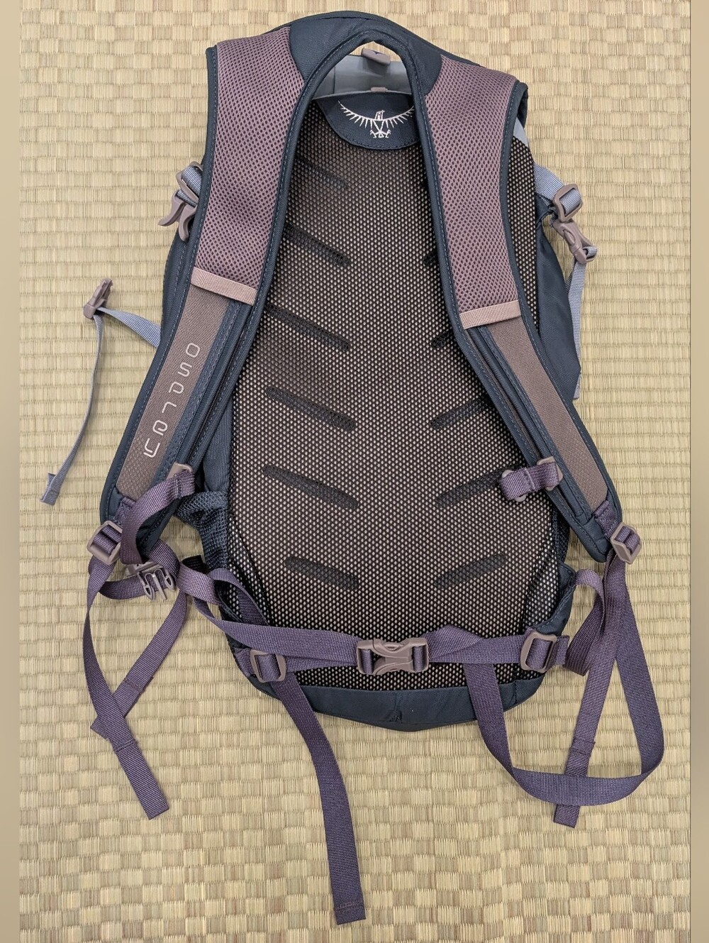 Osprey Daylite Backpack - Picture 2 of 3